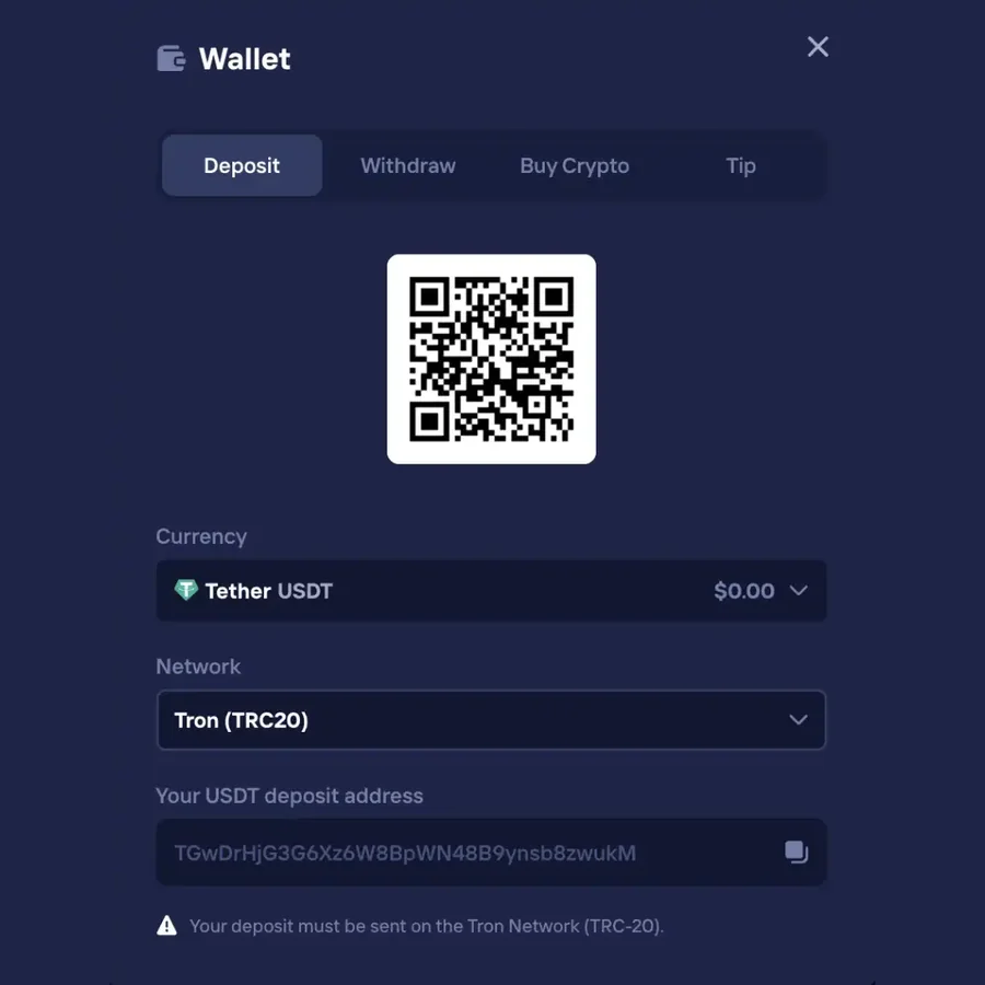 Duel Casino wallet deposit window on duel.com showing a QR code, Tether USDT selected on the Tron TRC20 network, and a USDT deposit address.